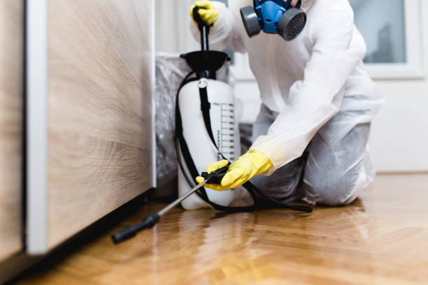Best Best Pest Control Companies  in Olney, MD