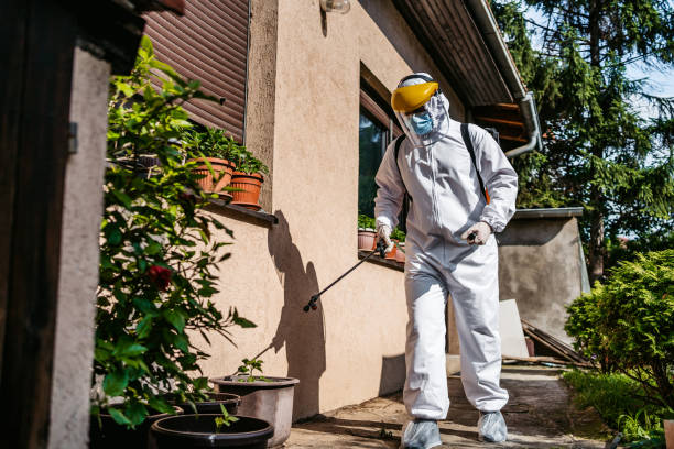 Best Wasp Removal Services  in Olney, MD
