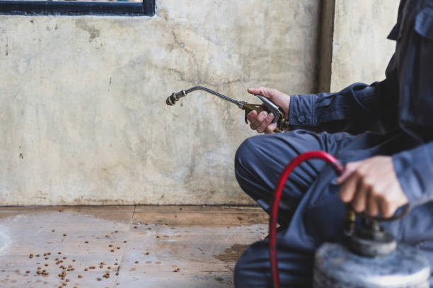Best Pest Removal Services  in Olney, MD